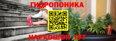 спиды Рыбинск