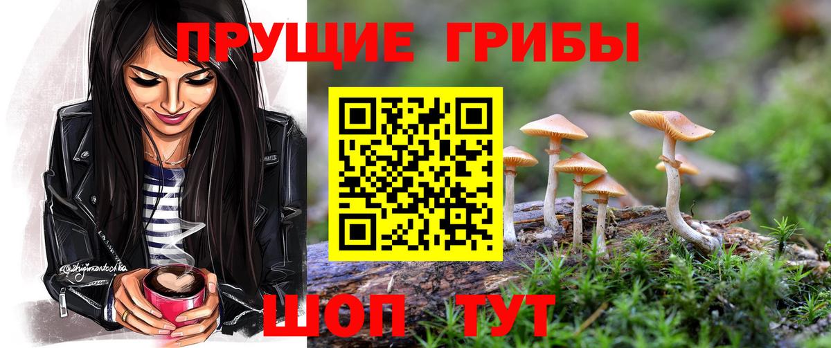 Галлюциногенные грибы Cubensis Сегежа